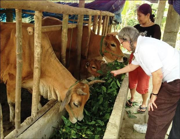 Provincia central vietnamita ayuda a víctimas del Agente Naranja/Dioxina ảnh 1 Provincia central vietnamita ayuda a víctimas del Agente Naranja/Dioxina ảnh 1