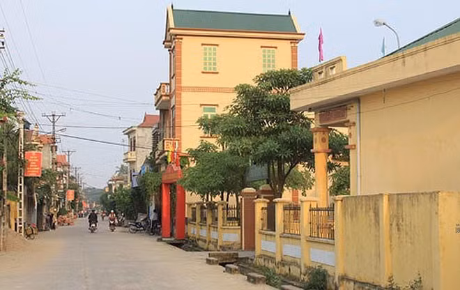 Reconocen en Hanoi a dos distritos como nuevas zonas rurales ảnh 1 Reconocen en Hanoi a dos distritos como nuevas zonas rurales ảnh 1