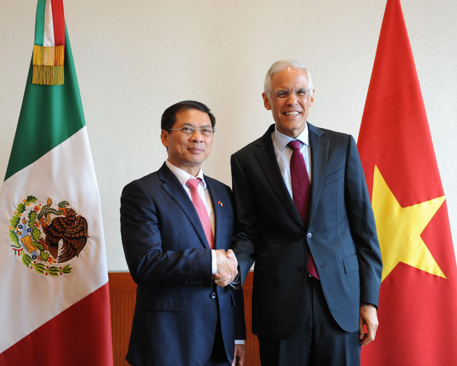 Realizan Vietnam y México quinta consulta política ảnh 2  Realizan Vietnam y México quinta consulta política ảnh 2