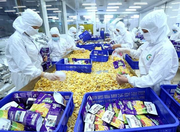Ventas de Vietnam a Corea del Sur experimenta resultados alentadores en ocho meses ảnh 1 Ventas de Vietnam a Corea del Sur experimenta resultados alentadores en ocho meses ảnh 1