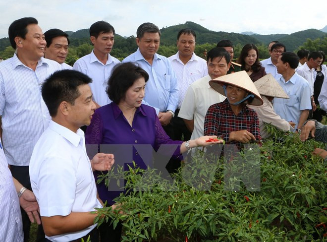 Jefa del Parlamento vietnamita orienta medidas de desarrollo en provincia norteña ảnh 1 Jefa del Parlamento vietnamita orienta medidas de desarrollo en provincia norteña ảnh 1