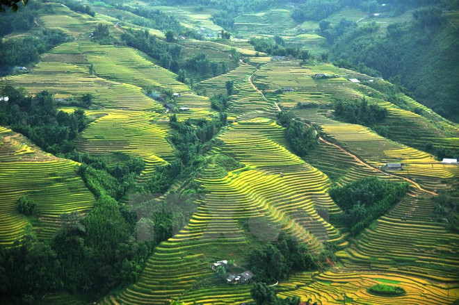 Celebran en Vietnam diversas actividades en saludo a la reunificación nacional ảnh 1 Celebran en Vietnam diversas actividades en saludo a la reunificación nacional ảnh 1