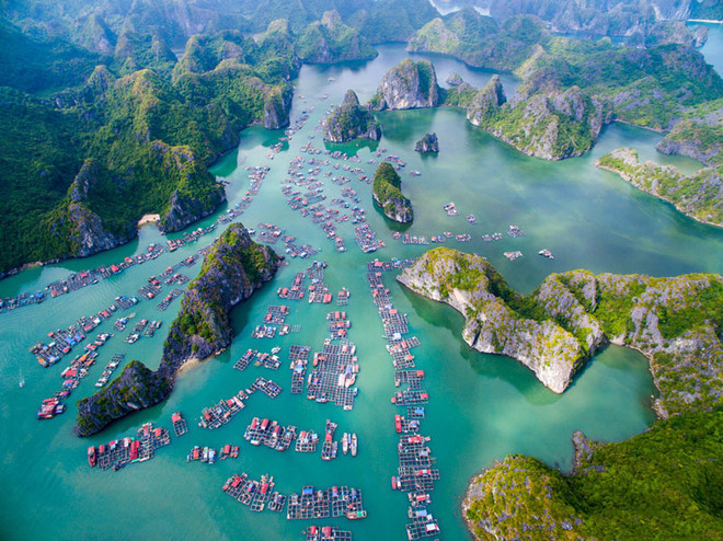 Prepara Vietnam documentos para solicitar reconocimiento de zona Ha Long - Cat Ba como patrimonio mundial ảnh 1