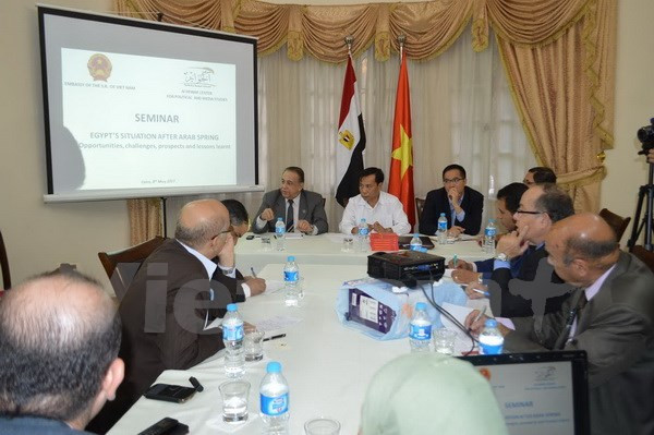 Buscan oportunidades de cooperación entre Vietnam y Egipto ảnh 1 Buscan oportunidades de cooperación entre Vietnam y Egipto ảnh 1