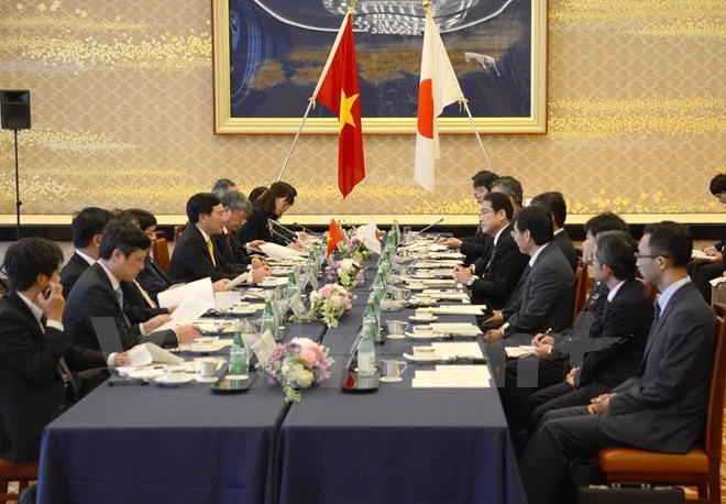 Vicepremier vietnamita dialoga con líderes de Japón ảnh 2