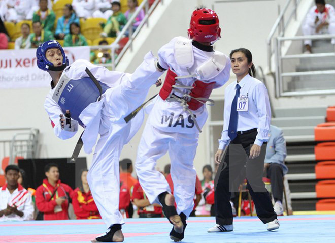 Taekwondistas vietnamitas ganan tres medallas de oro en campeonato mundial ảnh 1 Taekwondistas vietnamitas ganan tres medallas de oro en campeonato mundial ảnh 1