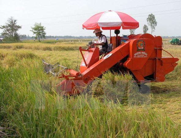 IFC respalda a Vietnam en desarrollo sostenible de agricultura ảnh 1 IFC respalda a Vietnam en desarrollo sostenible de agricultura ảnh 1