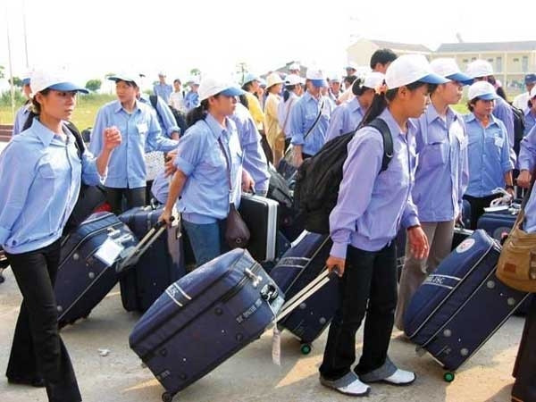 Más de 100 mil pobres vietnamitas ayudados para trabajar en extranjero ảnh 1