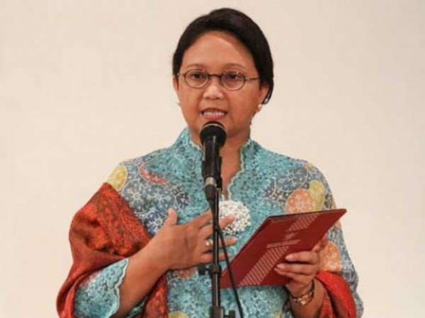 Indonesia pide a ASEAN luchar contra campaña sobre aceite de palma ảnh 1 Indonesia pide a ASEAN luchar contra campaña sobre aceite de palma ảnh 1