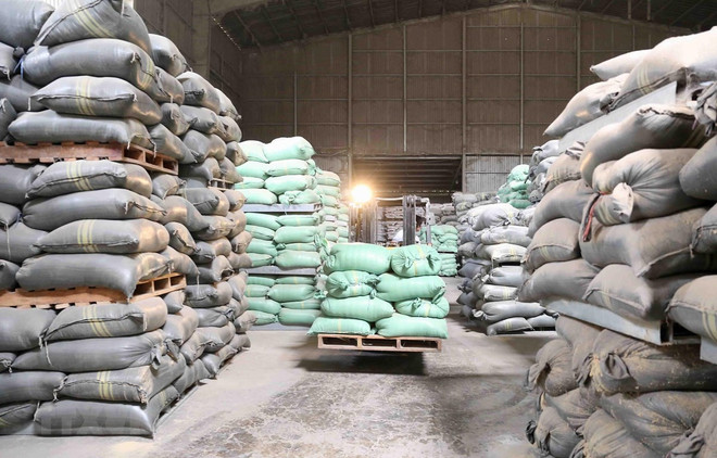 Mejoran calidad y competitividad del arroz de Vietnam ảnh 1 Mejoran calidad y competitividad del arroz de Vietnam ảnh 1