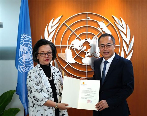 Aprecia órgano de ONU avances de Vietnam en impulso de desarrollo sostenible ảnh 1 Aprecia órgano de ONU avances de Vietnam en impulso de desarrollo sostenible ảnh 1