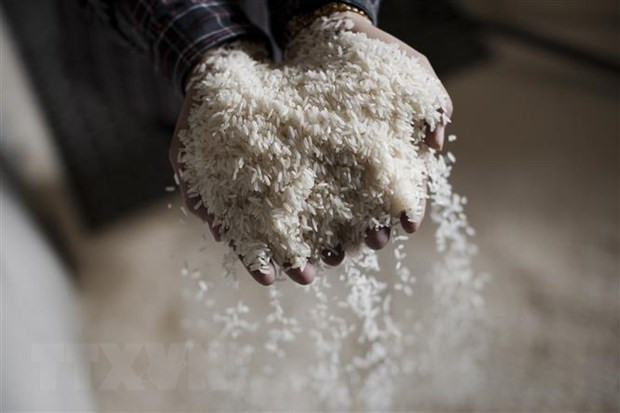 Tailandia, determinado a proteger el “trono” de su marca de arroz ảnh 1 Tailandia, determinado a proteger el “trono” de su marca de arroz ảnh 1