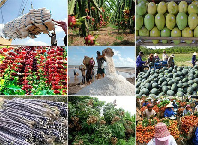 Aspira Vietnam a ingresar 41 mil millones de dólares por exportaciones agro-forestales y acuícolas en 2020 ảnh 1 Aspira Vietnam a ingresar 41 mil millones de dólares por exportaciones agro-forestales y acuícolas en 2020 ảnh 1