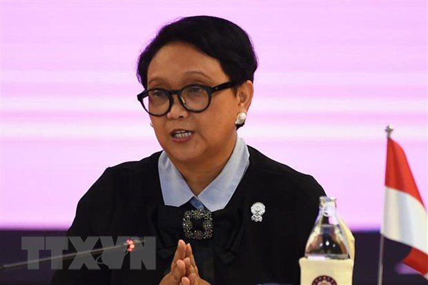 Indonesia pide a UE trato justo a sus productos de aceite de palma ảnh 1 Indonesia pide a UE trato justo a sus productos de aceite de palma ảnh 1