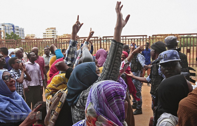 Vietnam e Indonesia apoyan proceso de transición en Sudán ảnh 1