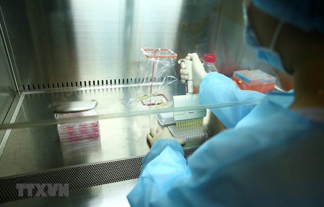 Espera Vietnam distribución universal de vacuna anticovid en 2022 ảnh 1 Espera Vietnam distribución universal de vacuna anticovid en 2022 ảnh 1