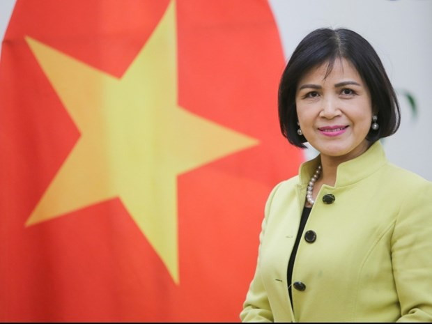 Vietnam asiste al 79 periodo de sesiones del Comité de Coordinación de la OMPI ảnh 1 Vietnam asiste al 79 periodo de sesiones del Comité de Coordinación de la OMPI ảnh 1