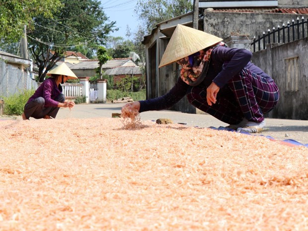 Enfocada provincia vietnamita de Bac Lieu en reducción de la pobreza ảnh 1 Enfocada provincia vietnamita de Bac Lieu en reducción de la pobreza ảnh 1