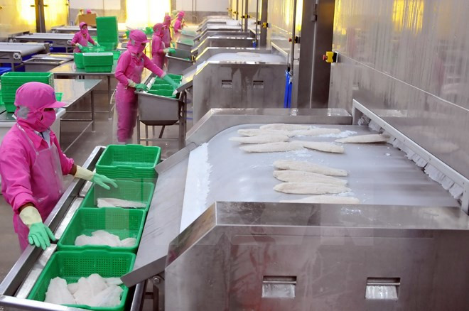 Elogian aportes de empresarios vietnamitas en Ultramar a desarrollo nacional ảnh 1