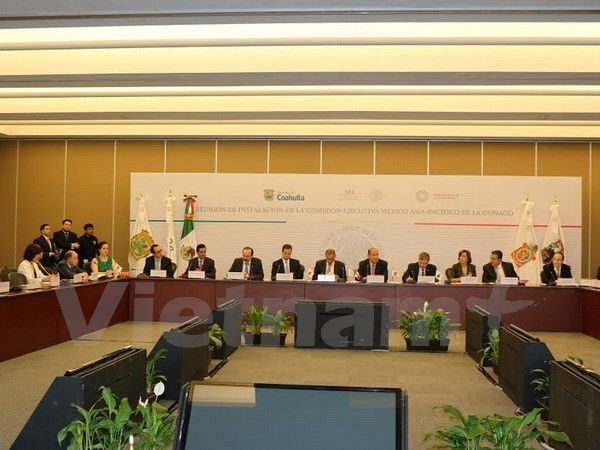Establecen Comisión México Asia – Pacífico ảnh 1