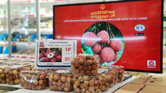 Comercio en línea allana camino para llevar productos vietnamitas al mundo ảnh 1
