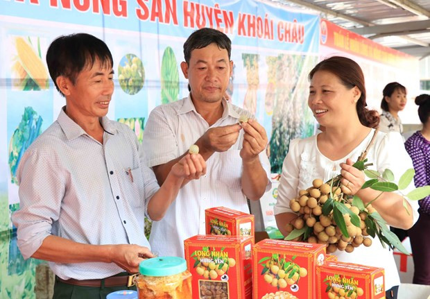 Comercio electrónico: canal de promoción del longan vietnamita ảnh 2 Comercio electrónico: canal de promoción del longan vietnamita ảnh 2