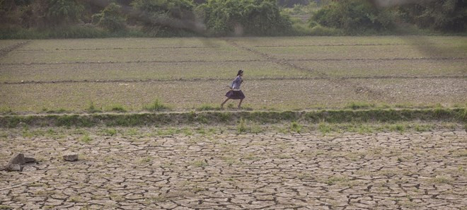 Firma la FAO acuerdo con Myanmar sobre seguridad alimentaria ảnh 1 Firma la FAO acuerdo con Myanmar sobre seguridad alimentaria ảnh 1