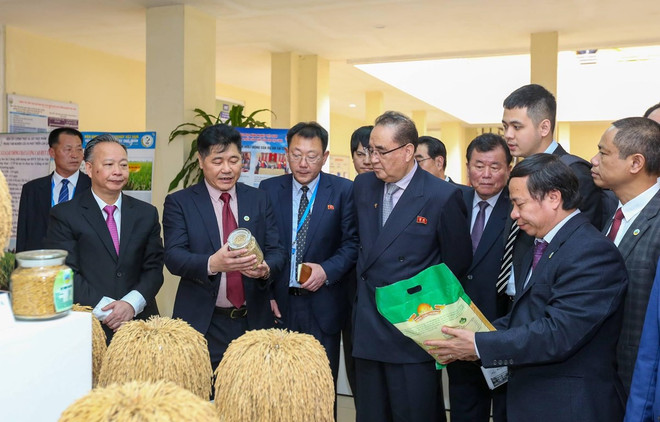 Cumple delegación partidista de Corea del Norte intensa agenda durante visita a Vietnam ảnh 1 Cumple delegación partidista de Corea del Norte intensa agenda durante visita a Vietnam ảnh 1