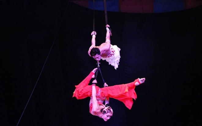 Ganan artistas vietnamitas medalla de plata en el Festival Internacional de Circo en España ảnh 1 Ganan artistas vietnamitas medalla de plata en el Festival Internacional de Circo en España ảnh 1