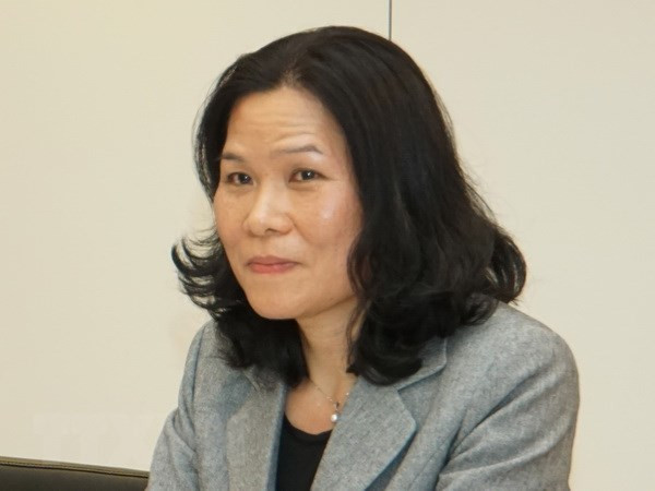 Embajadora vietnamita preside reunión de Comité de ASEAN en La Haya ảnh 1 Embajadora vietnamita preside reunión de Comité de ASEAN en La Haya ảnh 1