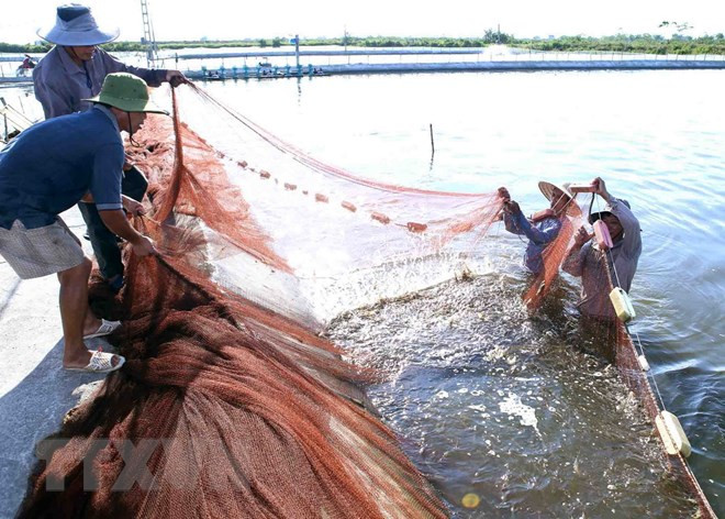 Aumentan número de localidades declaradas nuevas zonas rurales en Vietnam ảnh 1 Aumentan número de localidades declaradas nuevas zonas rurales en Vietnam ảnh 1