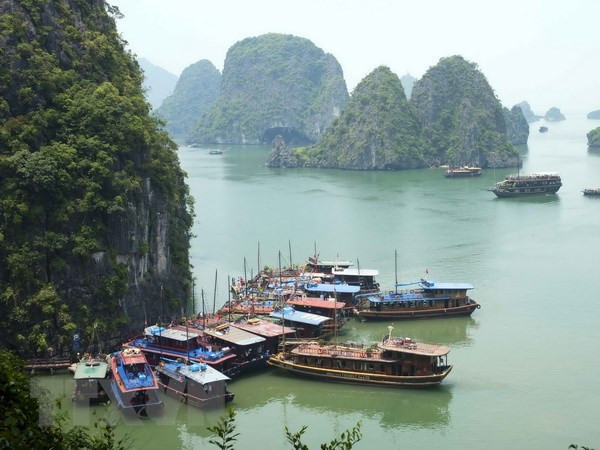 Premier de Vietnam: Preservar patrimonios es responsabilidad de toda la comunidad ảnh 1 Premier de Vietnam: Preservar patrimonios es responsabilidad de toda la comunidad ảnh 1