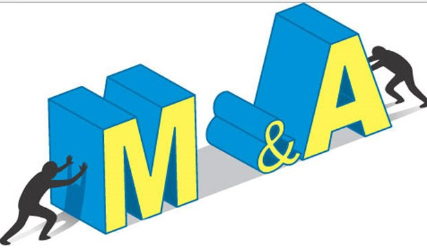 Potencial mercado M&A en Vietnam ảnh 1 Potencial mercado M&A en Vietnam ảnh 1