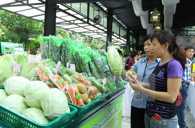 Vietnam espera ingresar casi cinco mil millones de dólares por exportación de frutas y verduras ảnh 1 Vietnam espera ingresar casi cinco mil millones de dólares por exportación de frutas y verduras ảnh 1