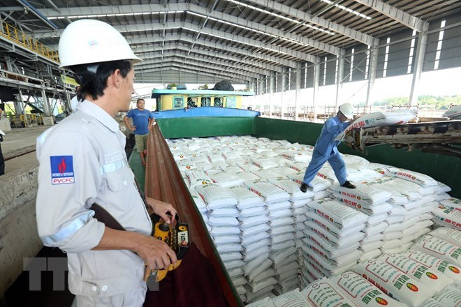Grandes aportes al presupuesto del Complejo de Gas-Energía-Fertilizante de provincia vietnamita de Ca Mau ảnh 1 Grandes aportes al presupuesto del Complejo de Gas-Energía-Fertilizante de provincia vietnamita de Ca Mau ảnh 1