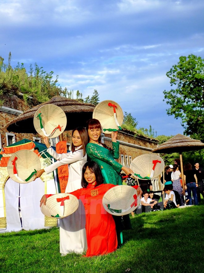“Día de Vietnam en Venecia”: Mixtura de dos culturas ảnh 3 “Día de Vietnam en Venecia”: Mixtura de dos culturas ảnh 3