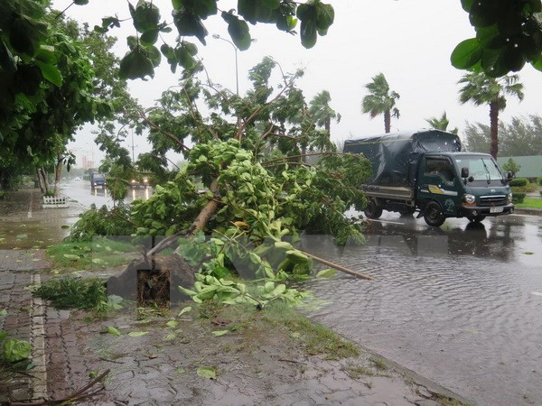 Suman cuatro muertos por continuas lluvias en Nghe An ảnh 1 Suman cuatro muertos por continuas lluvias en Nghe An ảnh 1