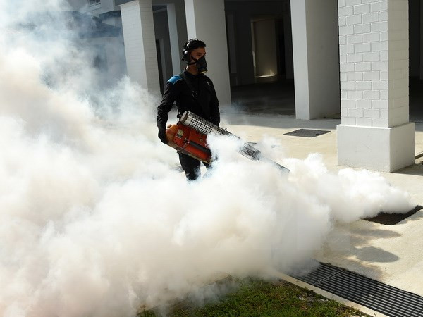 Myanmar confirma primer caso del virus del Zika ảnh 1 Myanmar confirma primer caso del virus del Zika ảnh 1