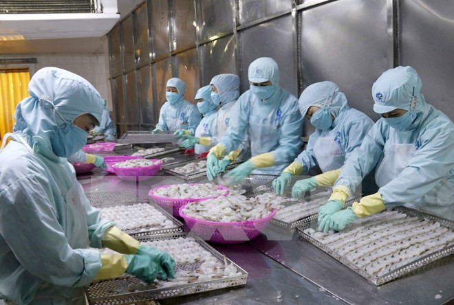 En alza exportaciones de productos acuícolas de Vietnam ảnh 1 En alza exportaciones de productos acuícolas de Vietnam ảnh 1