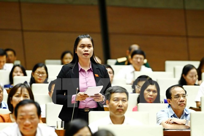 Interpelaciones del Parlamento vietnamita ahondan en asuntos clave ảnh 1