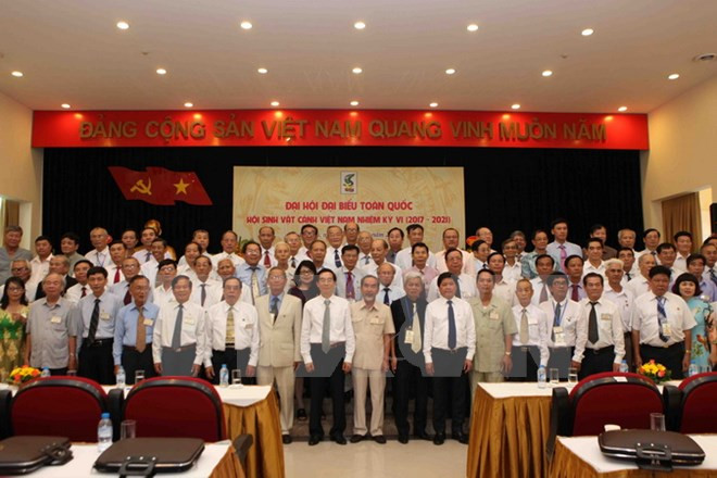 Vietnam promueve el desarrollo del sector de variedades ornamentales ảnh 1 Vietnam promueve el desarrollo del sector de variedades ornamentales ảnh 1