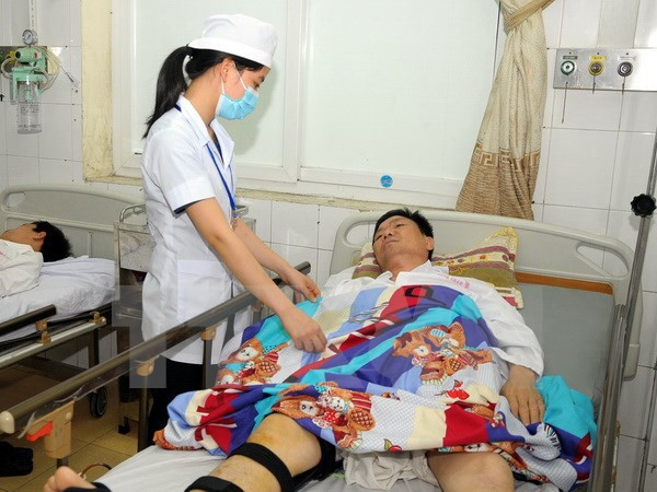 Comparten en Vietnam experiencias en prevención de enfermedades causadas por arbovirus ảnh 1