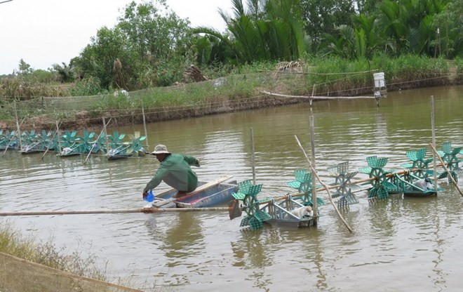 Vietnam acelera la modernización de nuevas zonas rurales ảnh 1 Vietnam acelera la modernización de nuevas zonas rurales ảnh 1