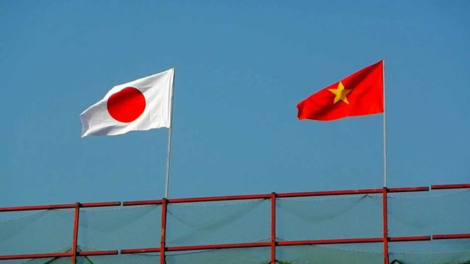 JICA continúa envío de voluntarios a Vietnam ảnh 1 JICA continúa envío de voluntarios a Vietnam ảnh 1