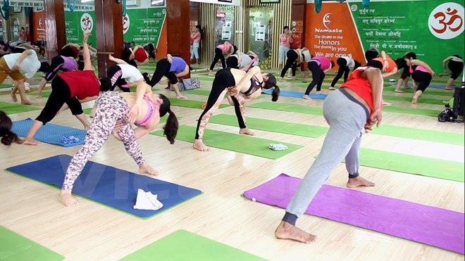 Yoga masivo en ciudad vietnamita por Día Internacional de la disciplina ảnh 1 Yoga masivo en ciudad vietnamita por Día Internacional de la disciplina ảnh 1