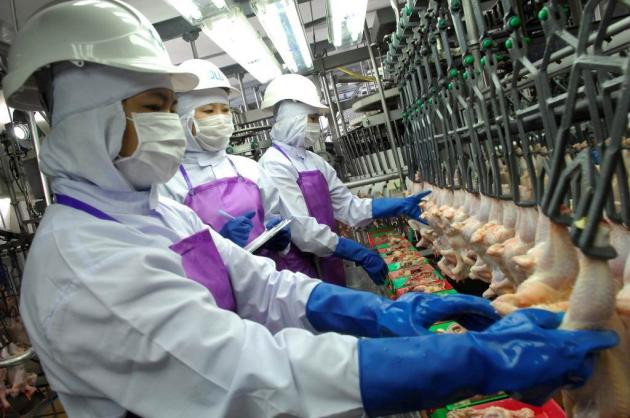 Tailandia aplicará nueva legislación sobre trabajadores migrantes ảnh 1 Tailandia aplicará nueva legislación sobre trabajadores migrantes ảnh 1