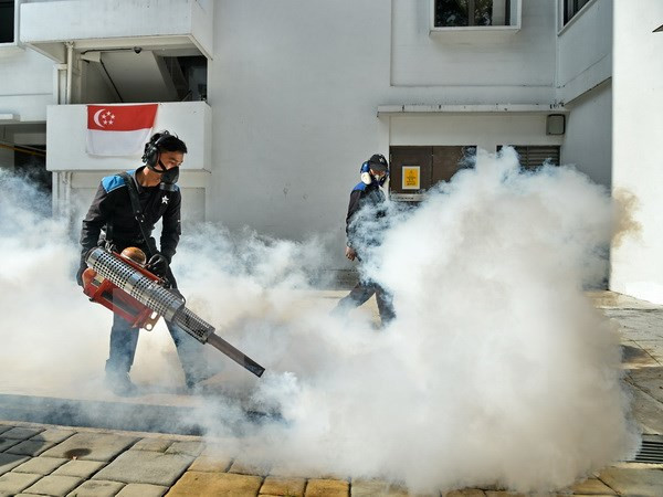 Singapur confirma dos casos nuevos de Zika ảnh 1 Singapur confirma dos casos nuevos de Zika ảnh 1