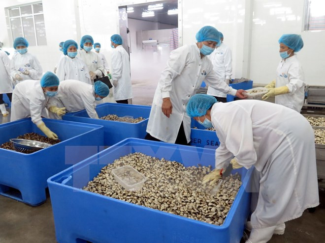 Camboya ofrece asistencia a producciones de pequeña envergadura ảnh 1 Camboya ofrece asistencia a producciones de pequeña envergadura ảnh 1