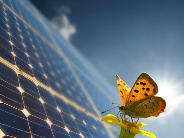 Desarrolla cooperación en la esfera de energía eólica y solar en Ninh Thuan ảnh 1  Desarrolla cooperación en la esfera de energía eólica y solar en Ninh Thuan ảnh 1