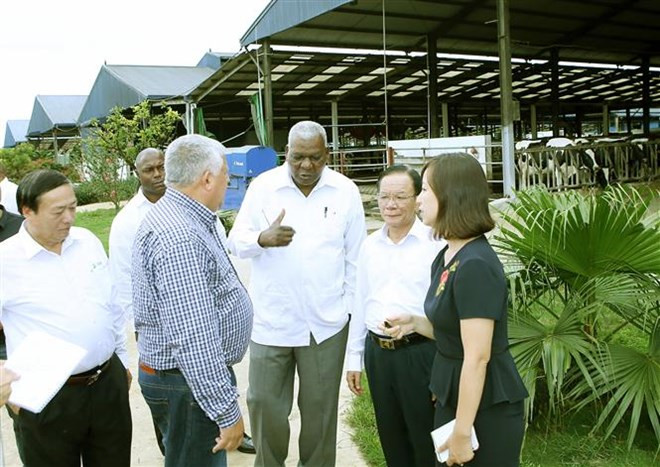 Delegación parlamentaria cubana visita provincia norvietnamita ảnh 1